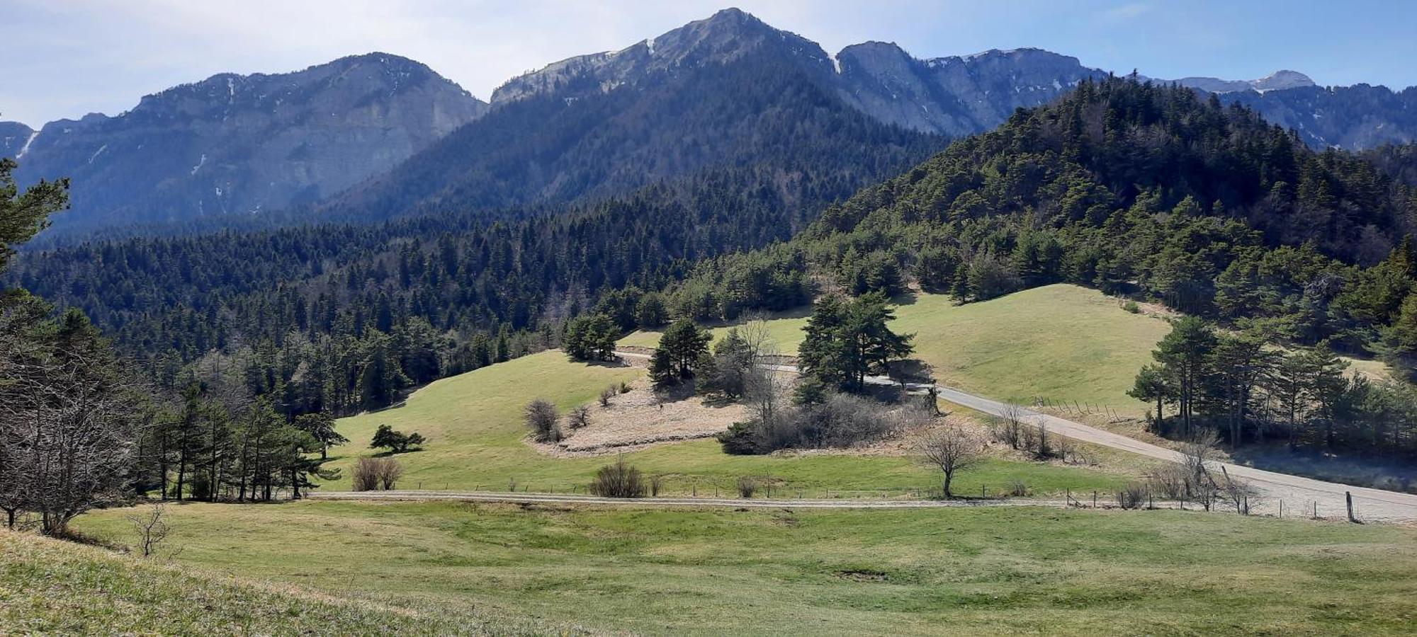 Les Vagabonds Du Mont Bed & Breakfast Chichilianne Eksteriør bilde