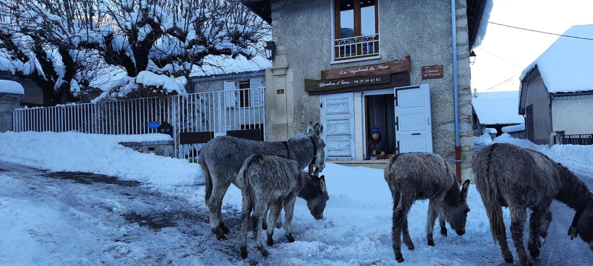 Les Vagabonds Du Mont Bed & Breakfast Chichilianne Eksteriør bilde